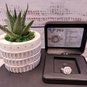 18k White Gold Diamond Double Halo Style Engagement Ring JAGi Certified